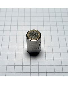 Inlet check valve for C02